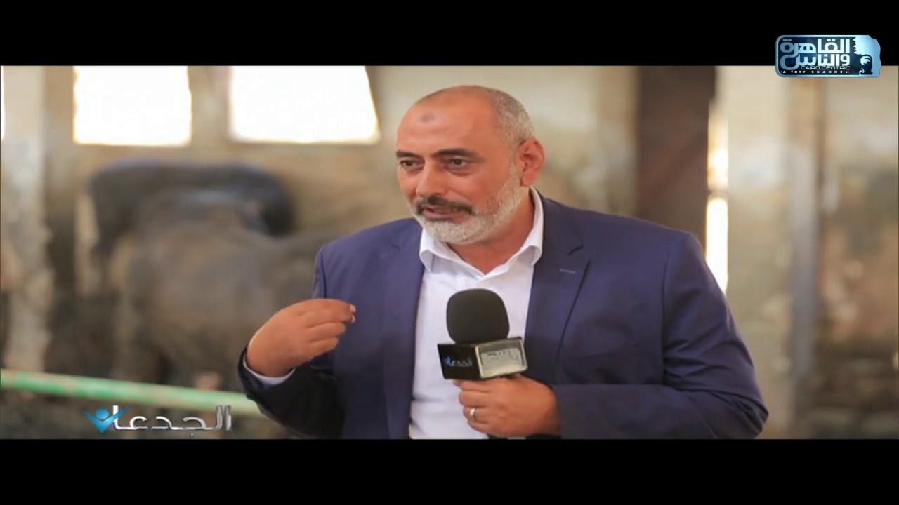 مصطفى محلاب:التركيبة العلفية للأبقار تختلف عن الجاموس