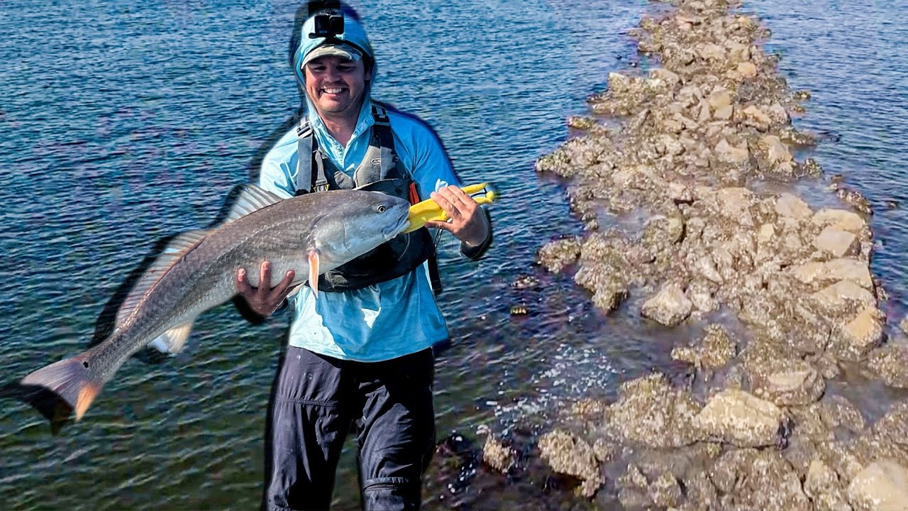 Bull reds at the Charleston Jetties!