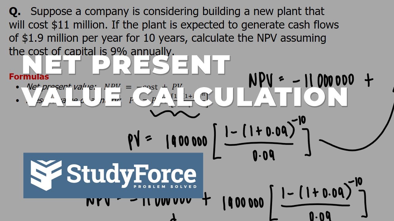Calculating the Net Present Value (NPV) #finance #investments