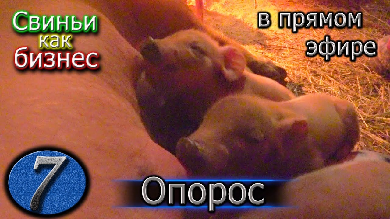 ОПОРОС В 