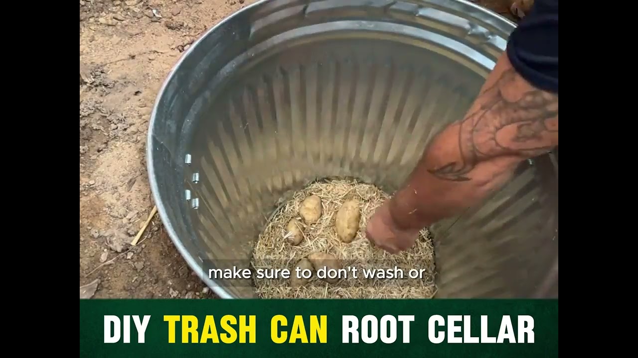 TRASHCAN ROOT CELLAR