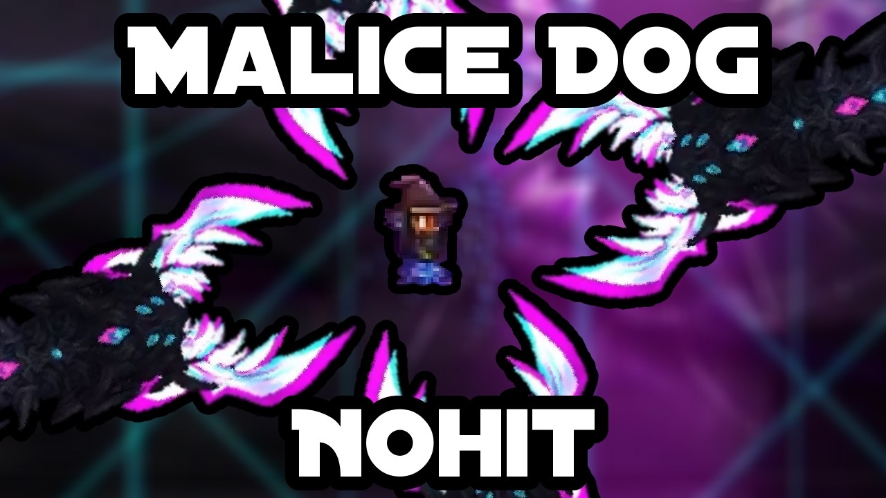 Malice DoG is INSANE! (Nohit)