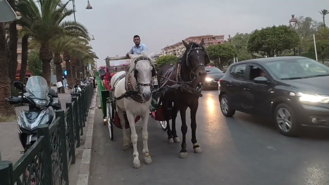 كليز مراكش خرجت أنا وصحباتي ودوزنا الوقت أجواء رائعة جدا وممتعة