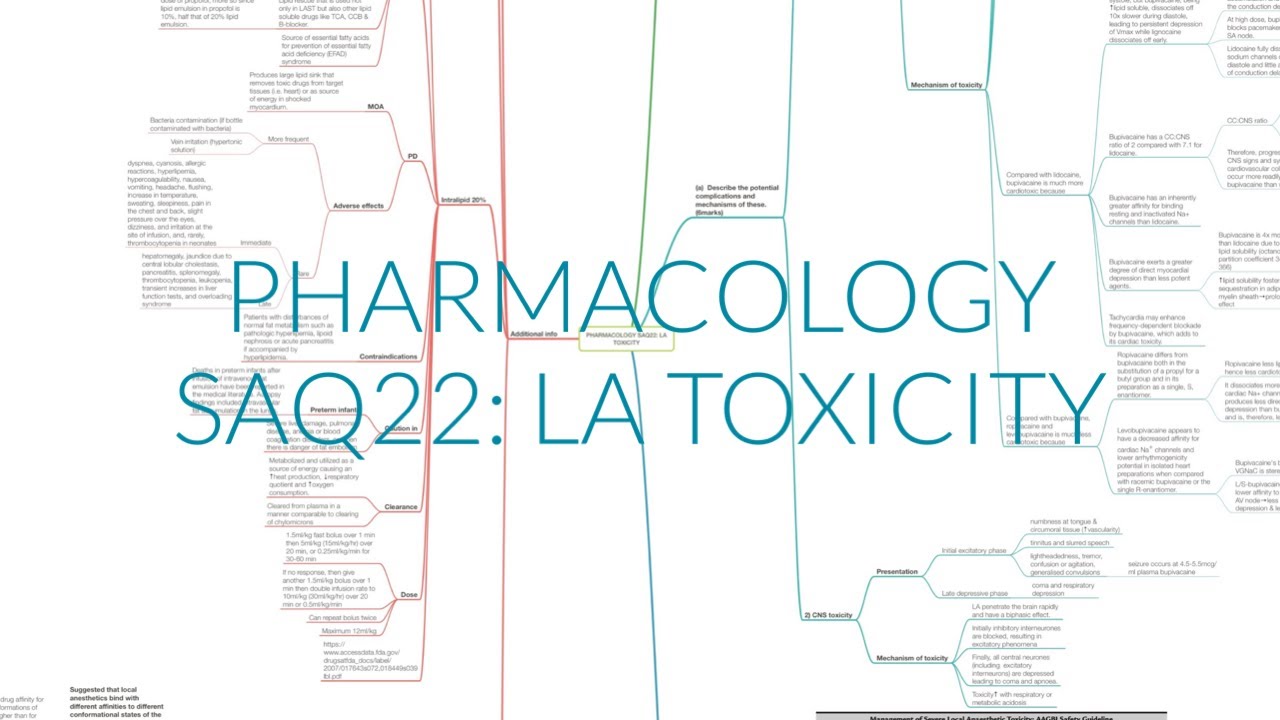 PHARMACOLOGY SAQ22: LA TOXICITY