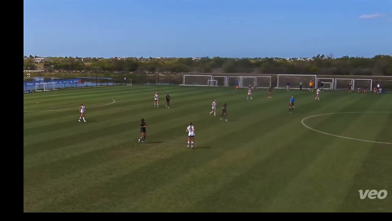 Champions Cup highlights 2026