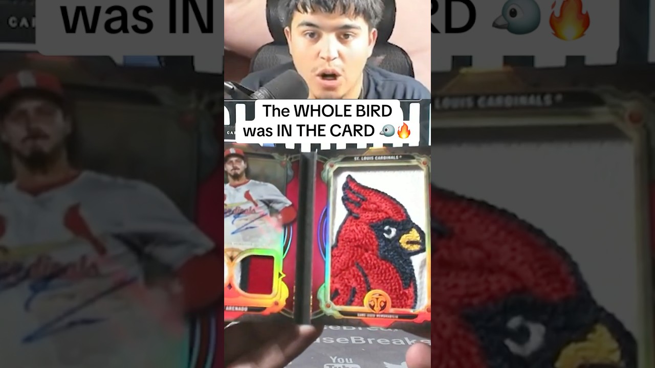 WHOLE BIRD inside a pack of cards?! 🤯🐦 Incredible baseball card pull! 👀
