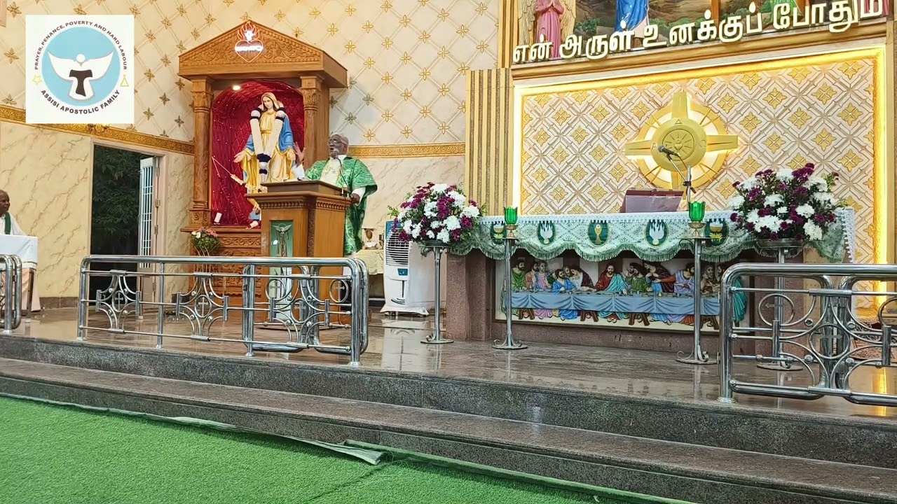 15 02 2026- அருட்தந்தை G.பாக்கிய ரெஜிஸ் - சட்டம் நம் வாழ்கையில் -  Rev.Fr. Backiya Regis - Homily 
