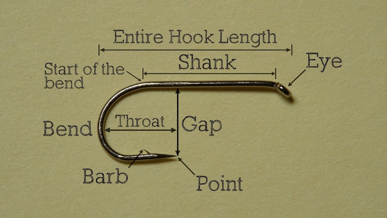 Hook Basics - Anatomy of a Hook