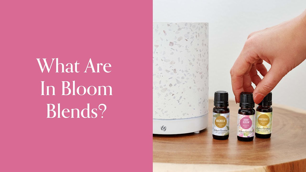 What Are In Bloom Blends?