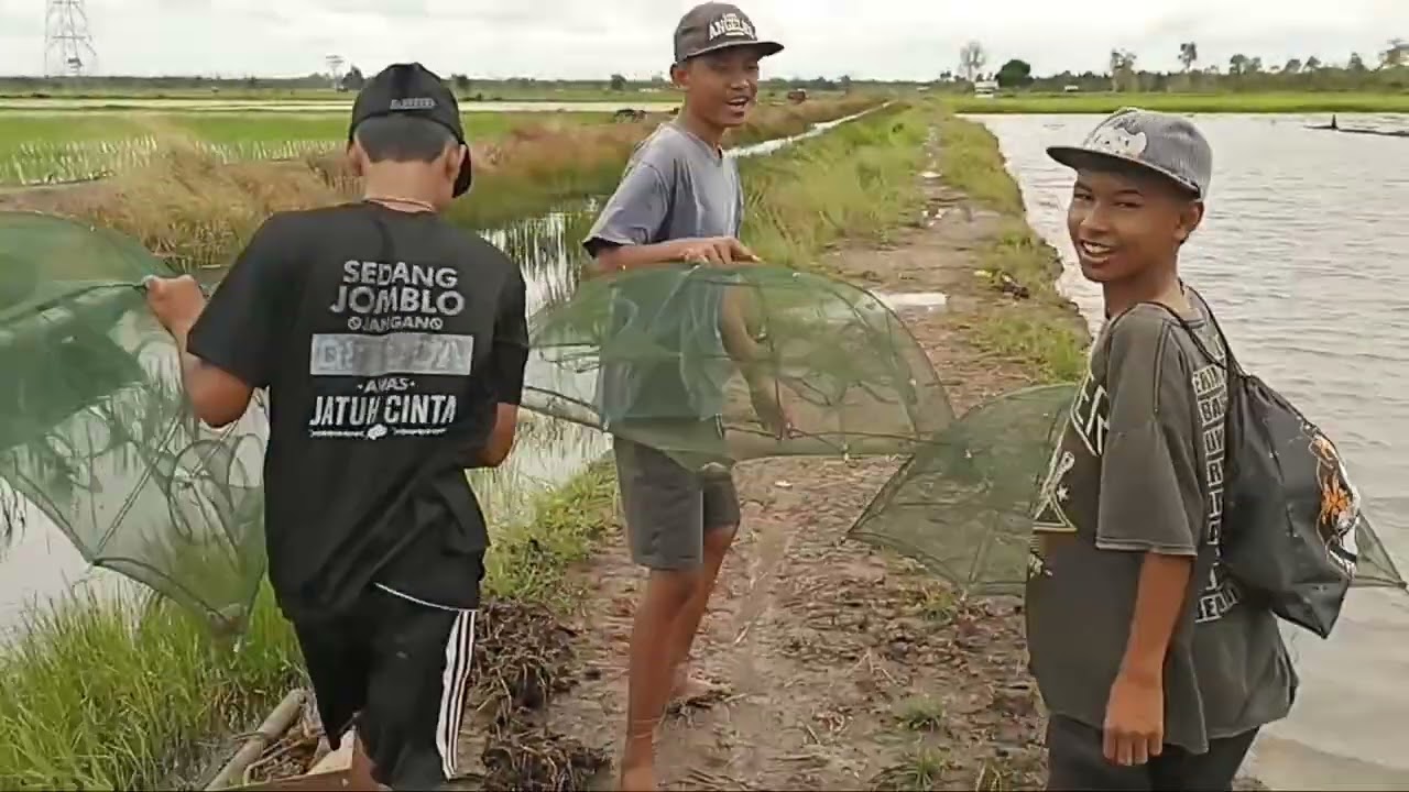 Memasang bubu payung bersama bocah Koclok 