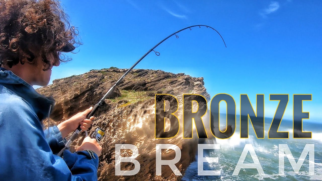 Big Bronze Bream, Black Mussel Cracker and White Steenbras on Light Tackle! (Catch and Cook)