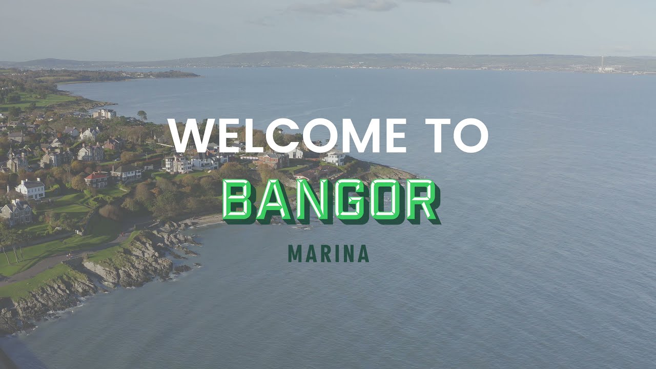 Bangor Marina from the air