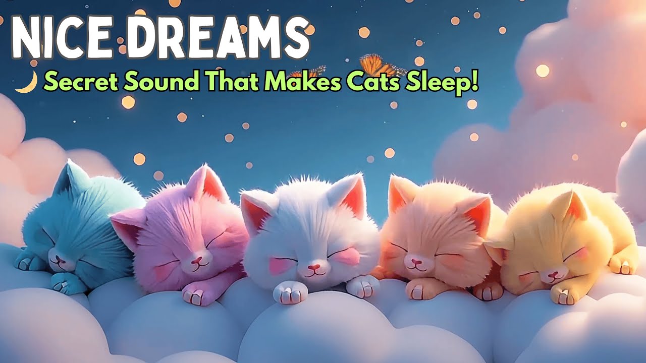Piano Music for Cats Stress Relief That Helps Anxious Cats Relax and Sleep All Night