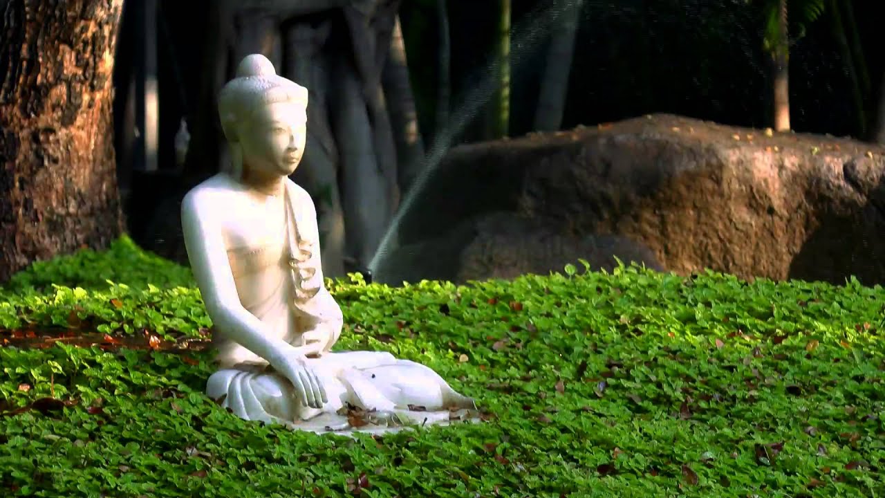 Silence (OSHO Meditation Minutes)