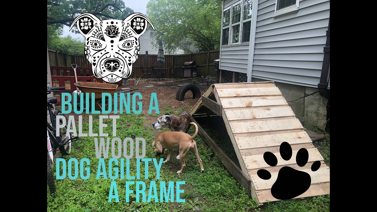 PALLET WOOD A FRAME FOR DOGS | DOG AGILITY