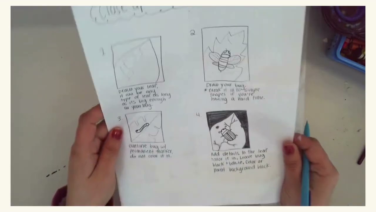 How To Draw a Bug On Flower or Leaf - Artastic Learning with Mrs. S