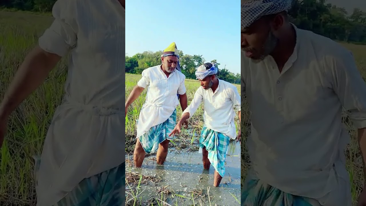 সর্দার ফুলের মাছ ধরা ভিডিও