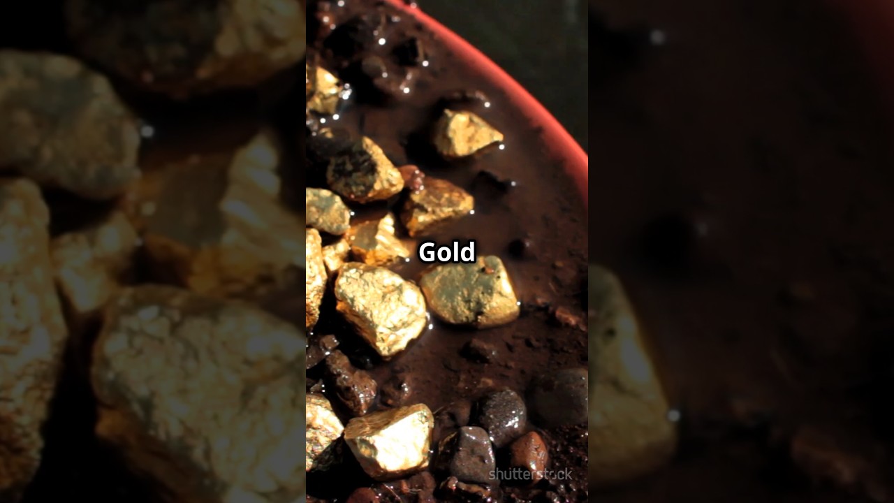The Klondike Gold Rush | Canada History