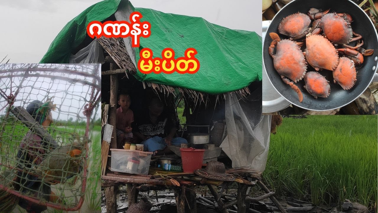 တောတွင်းတနေရာမှာ ဂဏန်းမီးပိတ် ပြုတ်စား😋