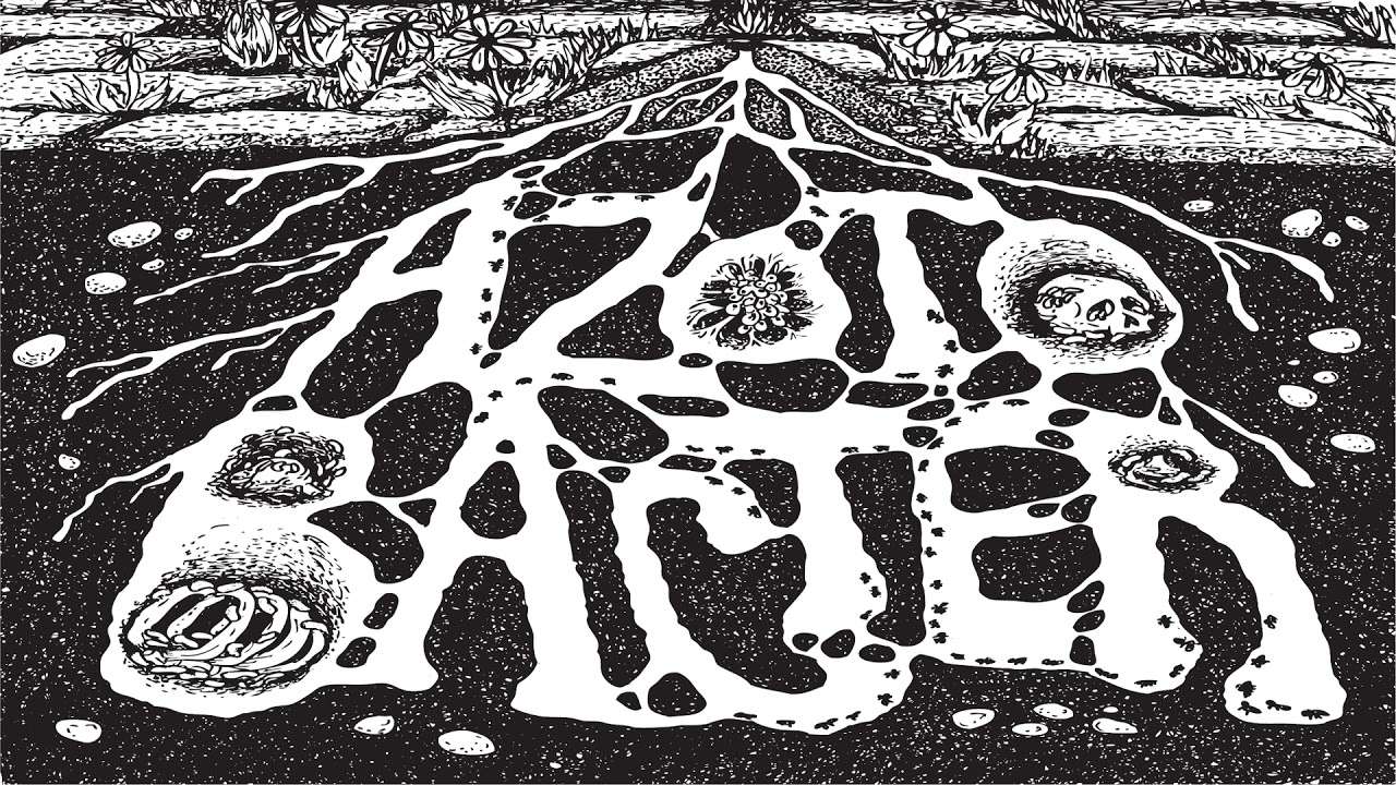 Azotobacter - Middle Class Expectations