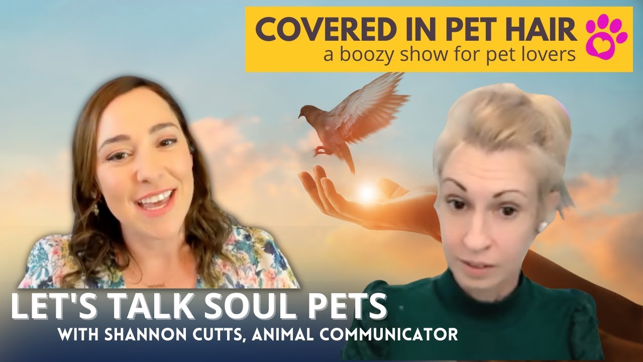 Pet Soul Contracts & Reincarnation with Animal Communicator, Shannon Cutts