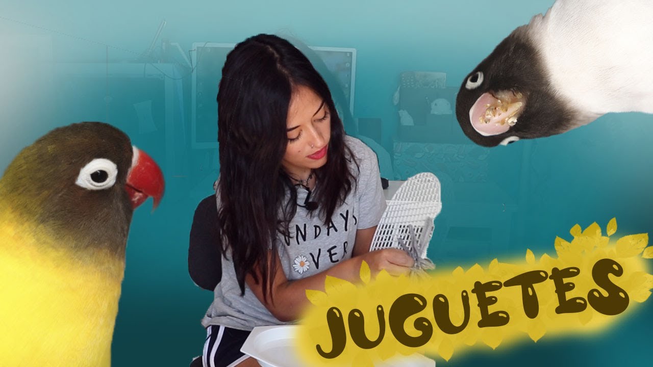 ¡Alfombra olfativa y varios juguetes para aves!