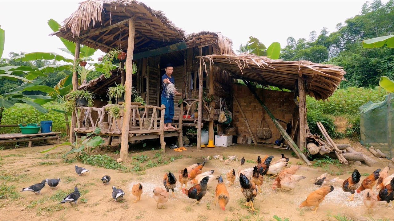 1 Year Alone in the Woods, Gardening, Chicken Farm, Video Timelapse, Building a Self-Sustained Life