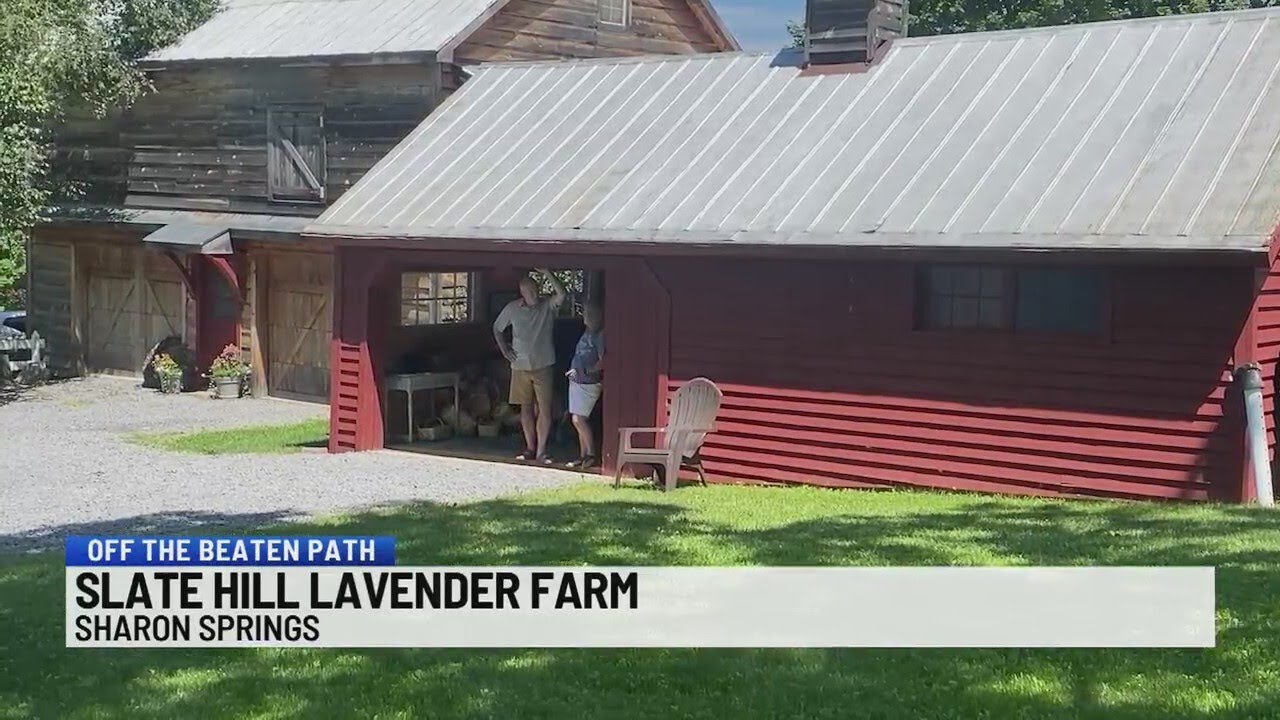 Off the Beaten Path: Slate Hill Lavender Farm