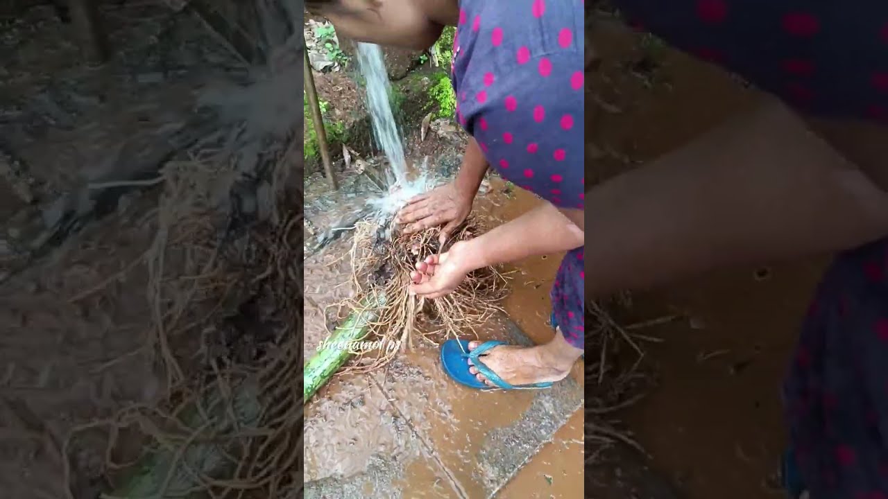 നാടൻ രുചിക്കൂട്ട് 🥰🥰🥰 ചേന പെരളൻ 😍😍😍