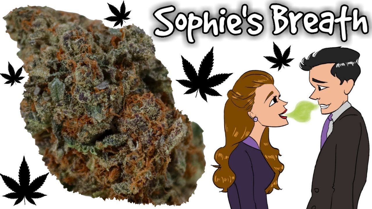 Sophie's Breath OFFICIAL Strain Review