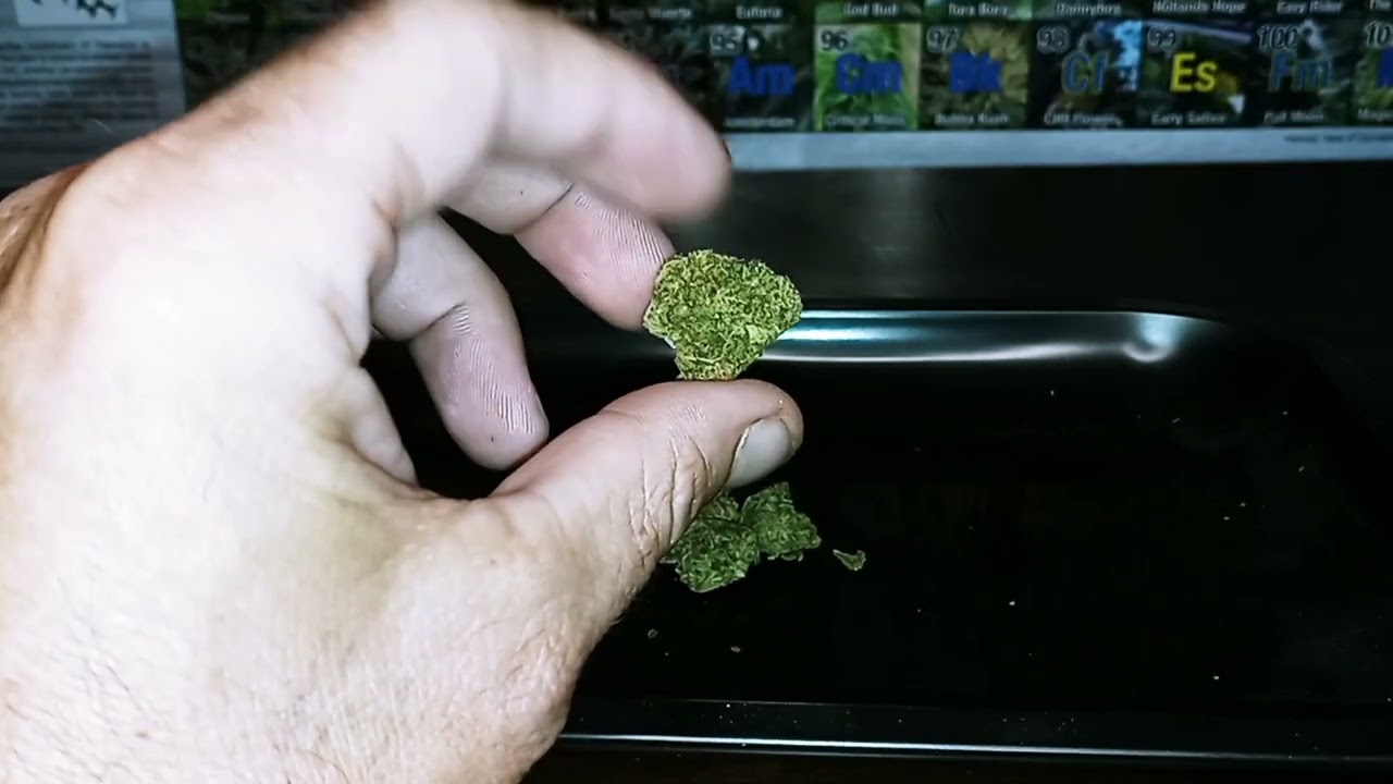 Kosher Kush strain review