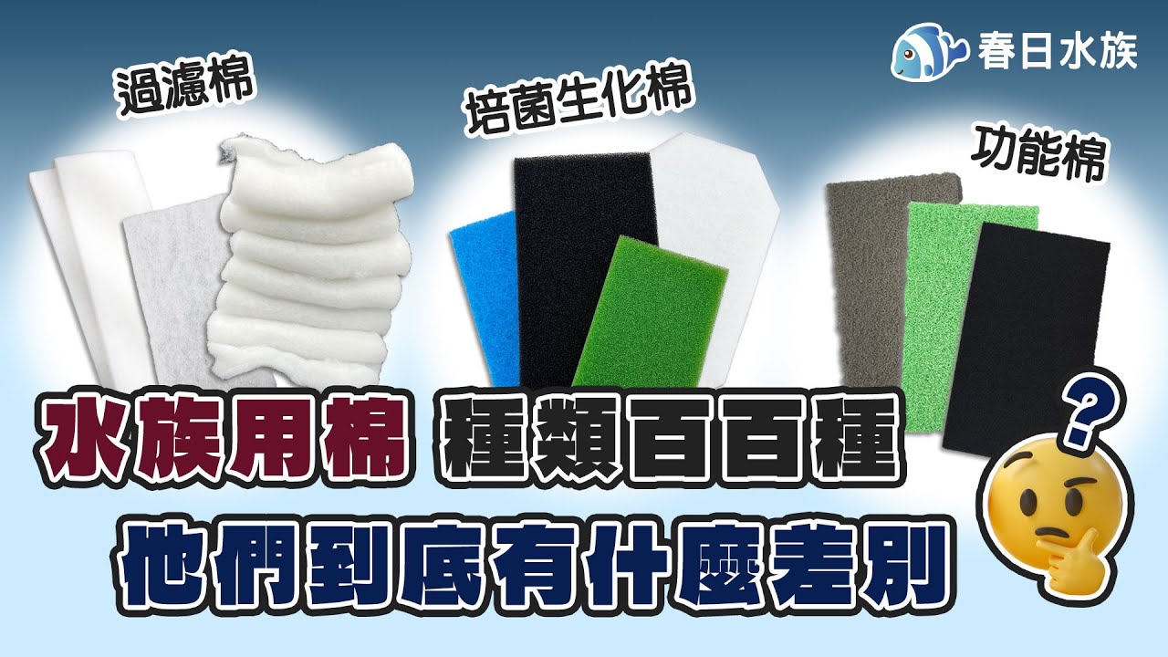水族用棉的種類款式這麼多 到底有什麼不一樣呢🤔 讓我們來為您解惑吧！