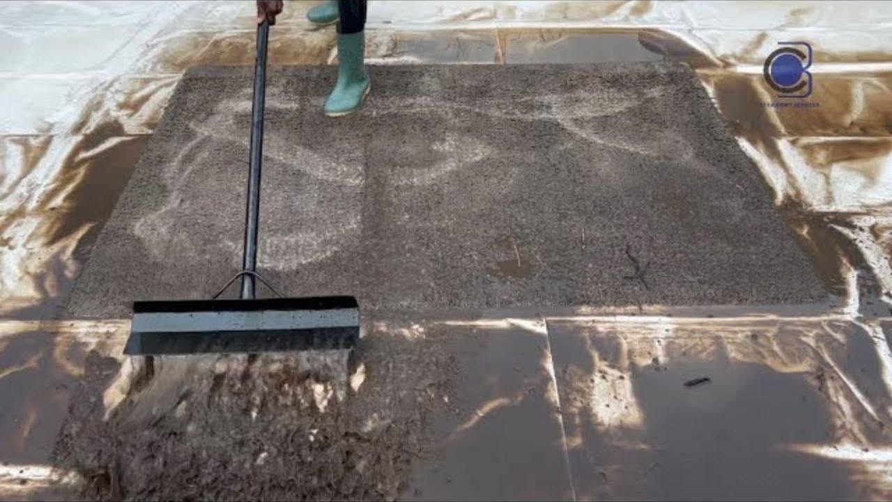 Every Single Scrape of Dirty Rugs from Start to Finish Pt. 1 🧼 | ASMR | C3 Laundry Services