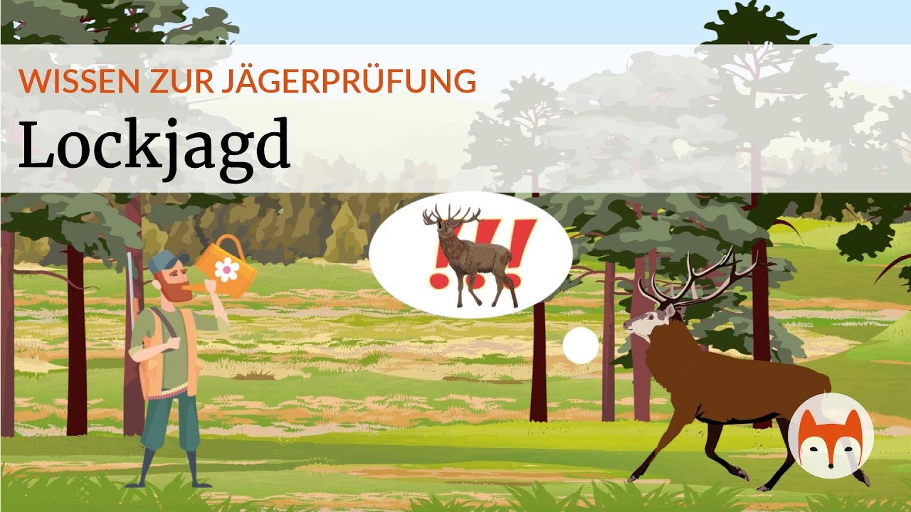 🎯 Lockjagd erklärt – Wild erfolgreich anlocken für Jagdschein & Jägerprüfung - Vorschau
