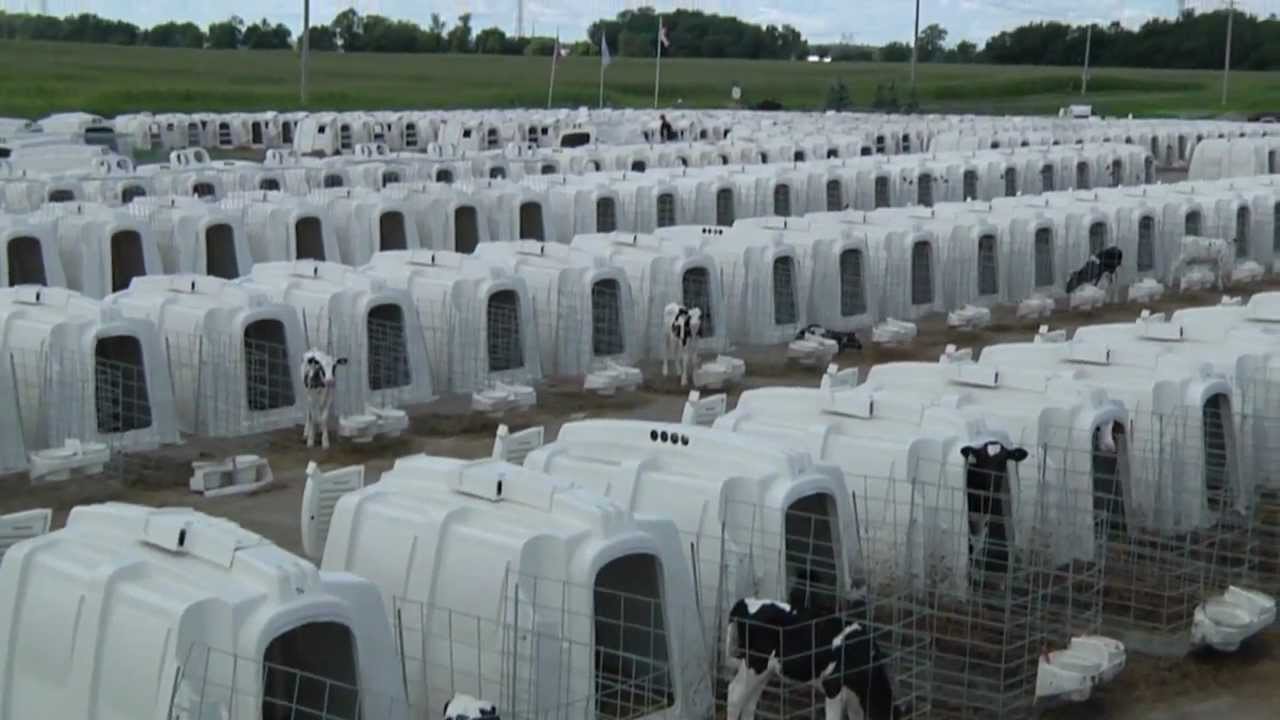 Agri Plastics Full Video