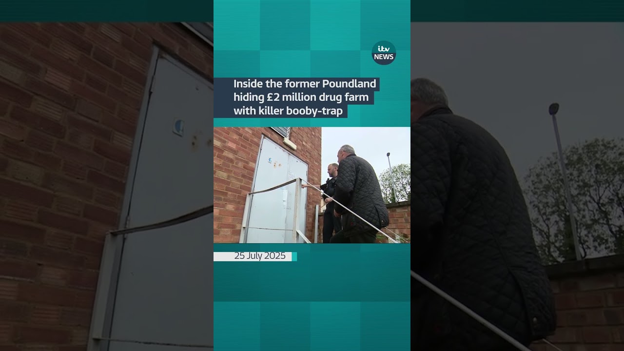 A gang had set up the cannabis farm just 400m from the town's police station #itvnews