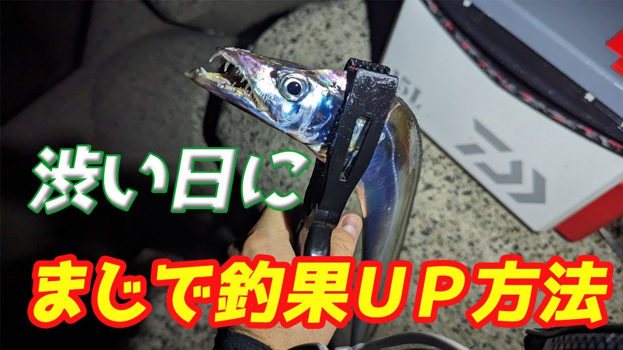 タチウオテンヤで釣果アップする簡単な方法【2023大阪湾太刀魚】