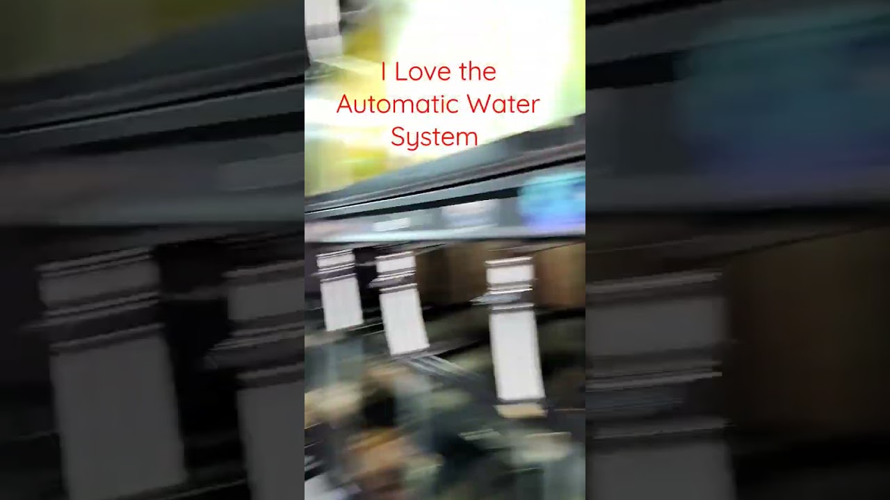 Automatic Water Change System