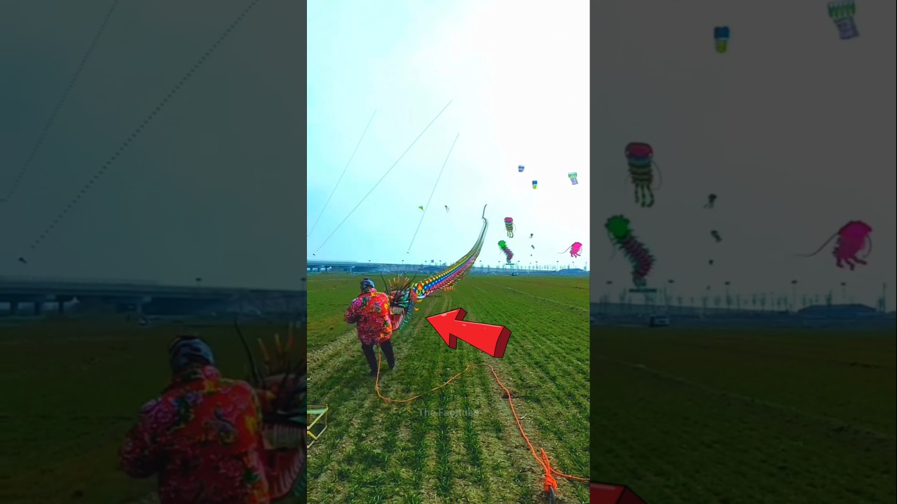 The world's biggest kite 🪁