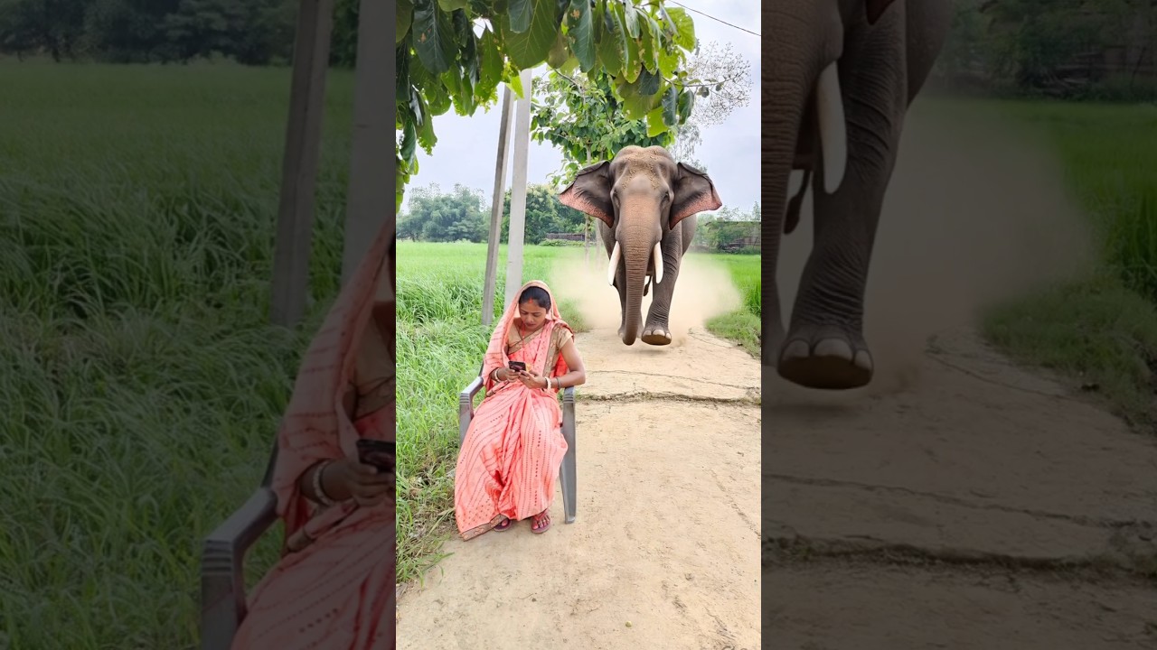 Saari duniya jalaa dunga 😭 #shorts #shortvideo #viralvideo #status #viralshorts #viral