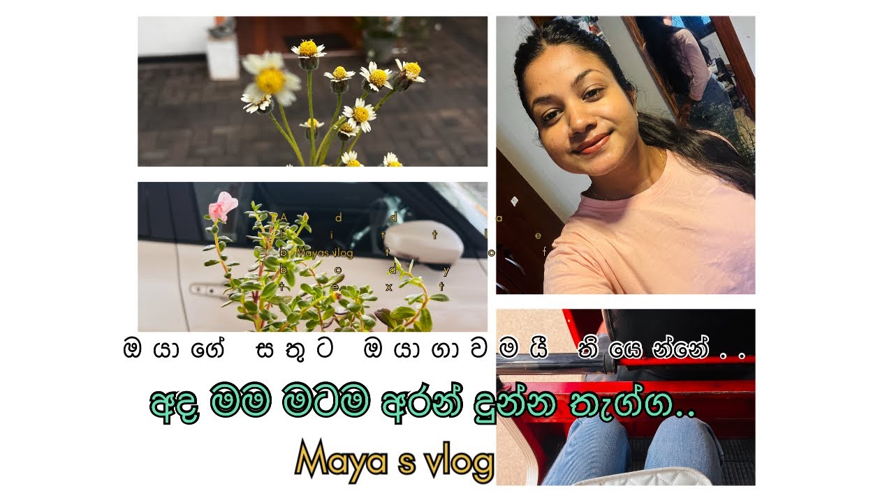 අද මම මේ කොහෙද යන්නේ.. සතුටින් ඉන්න මම කරන දෙවල්..#dayinmylife#roomdecoration