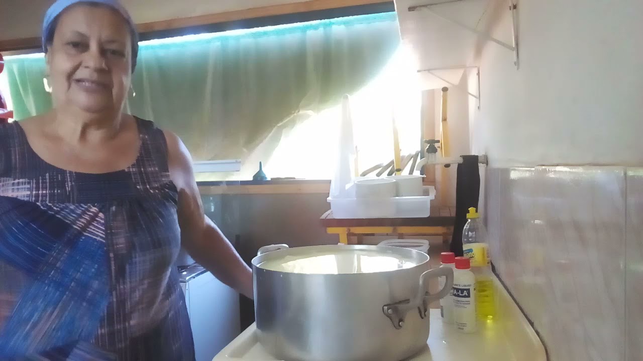 como fazer queijo pra cura na tábua 🧀🧀🧀