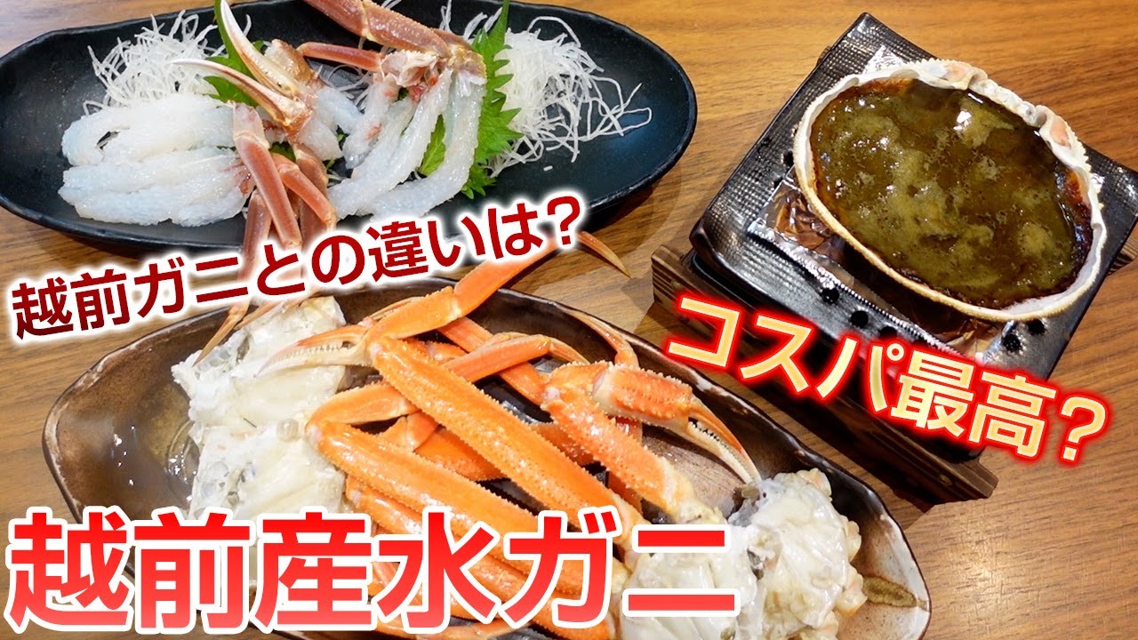 【越前産水ガニ】でコスパ最高の蟹フルコース作ってみた！