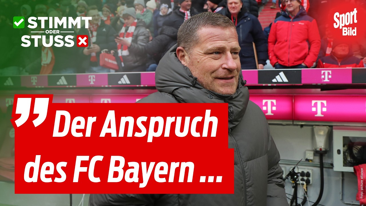 Man hätte ihn für 3 Millionen haben können: Hat der FC Bayern Vuskovic verpennt? | Stimmt oder Stuss