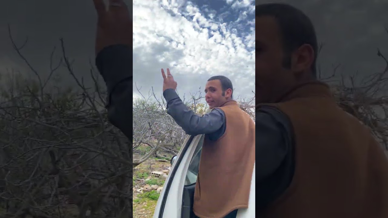 رحله الي شمال الاردن 🇯🇴 #ربيع عجلون #اكسبلور 