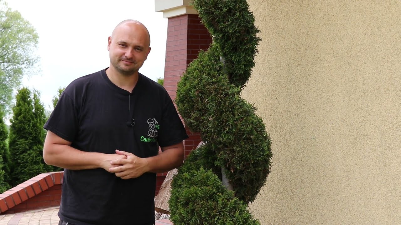 Jak ciąć tuje na spiralkę, świderka?