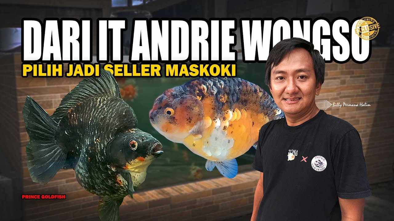 PILIH RESIGN DARI IT-nya MOTIVATOR TERNAMA ANDRIE WONGSO DEMI MASKOKI | PRINCE GOLDFISH