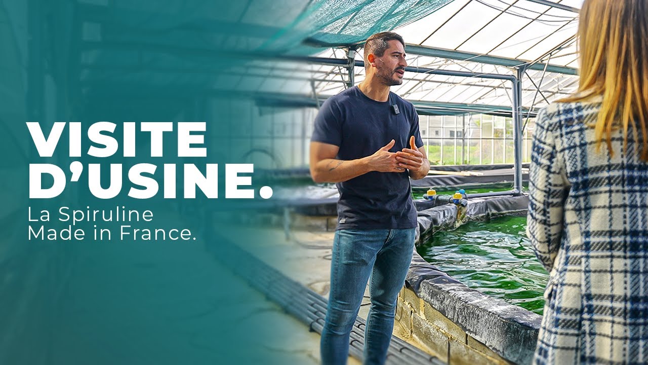Les SECRETS de FABRICATION de notre SPIRULINE FRANÇAISE !