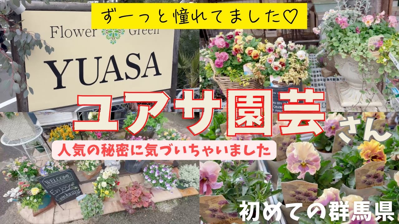 【憧れのユアサ園芸】感動と大満足の群馬県遠征❤️&zwj;🔥片道3時間かけても行って良かった😍