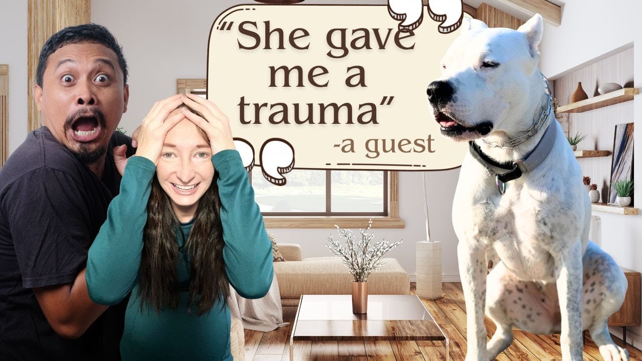 My Dogo Argentino Scared To Death My Guest Storytime